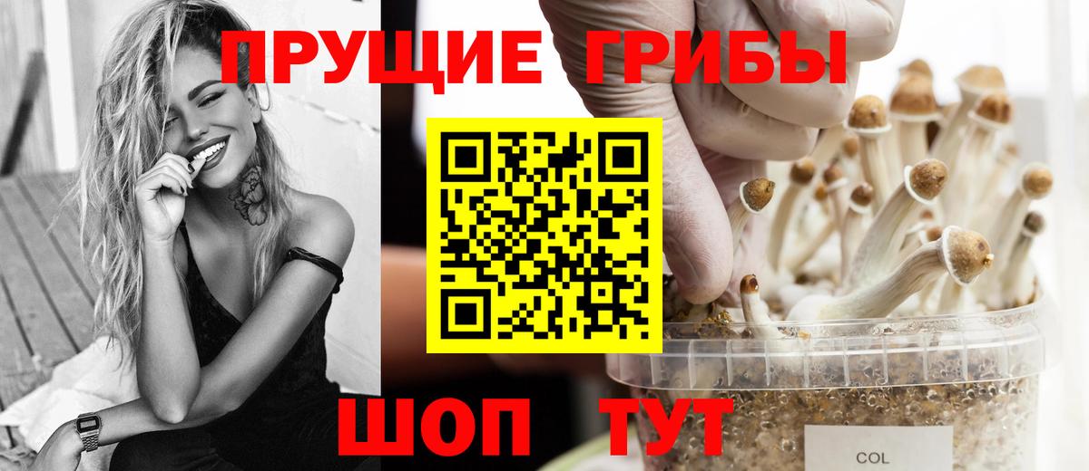 Псилоцибиновые грибы Magic Shrooms  Вход с VPN  Псилоцибиновые грибы GOLDEN TEACHER  Видное 